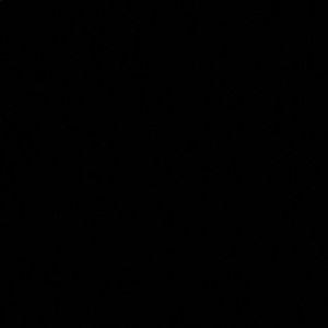 Meet your Posher, Lydia